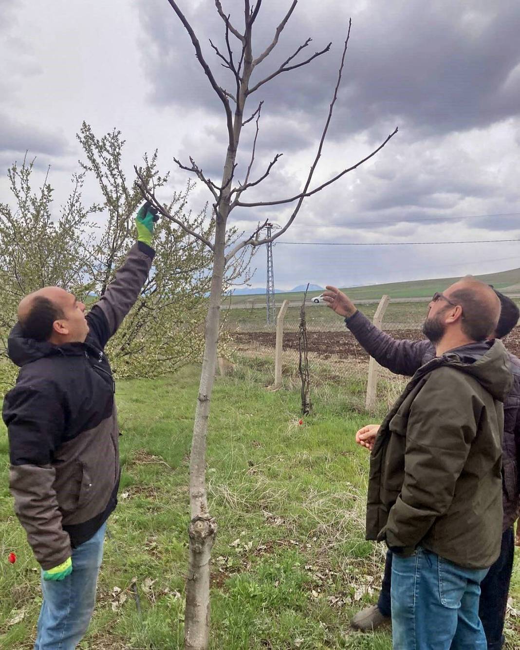 Tarımda tarihin en büyük felaketi yaşanıyor! Meyve, sebze fiyatlarında rekor artış yaşanacak 28